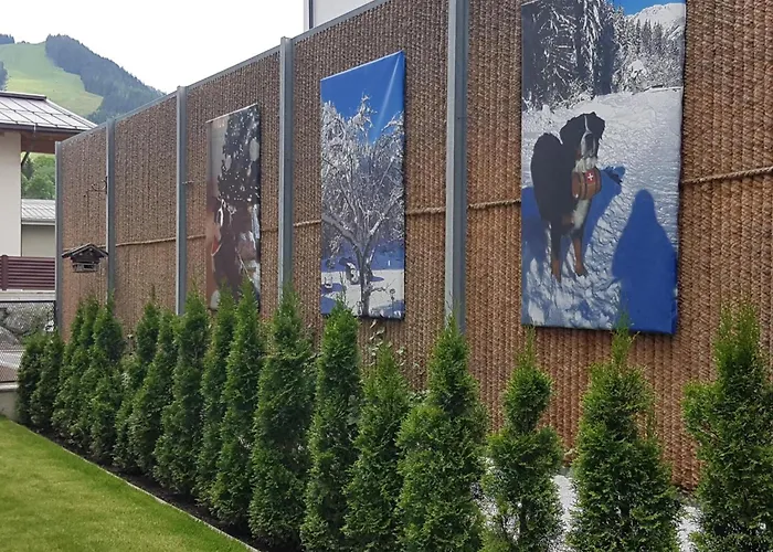 Neva Шале Зальбах-Хинтерглемм